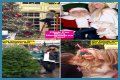 Exclusive: The 'Real Housewives' Personal Christmas Photos!