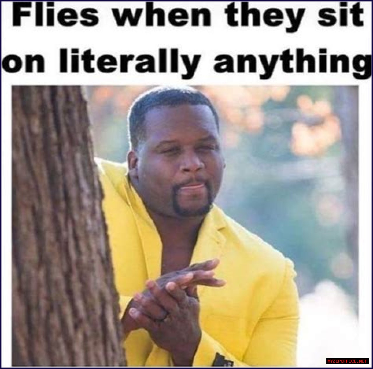 HTML