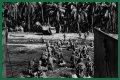 WWII's Most Daring Raids - Smithsonian Channel